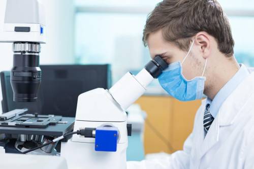 https://img.ilgcdn.com/sites/default/files/styles/md/public/foto/2025/07/01/Ricerca-scientifica_Canva_1-1-540735761.jpg?_=1751369403