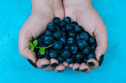 Malattie cardiache, come ridurne il rischio grazie alla vitamina K: ecco dove si trova