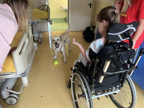 https://img.ilgcdn.com/sites/default/files/styles/md/public/foto/2025/07/02/pet_terapy_purina_commm.jpg?_=1751451303