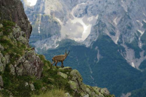 La Regione porta 6mila giovani in montagna