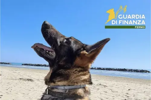 Il saluto della Guardia di Finanza di Fermo a Fancy