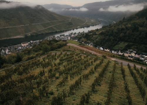 Nicola Biasi in Mosella: il Riesling innovativo