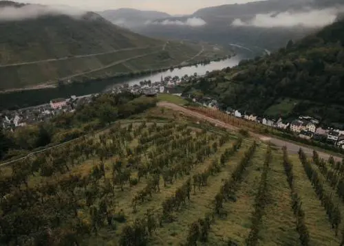 Nicola Biasi in Mosella: il Riesling innovativo