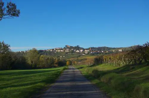 Un reality olandese fa diventare l'Oltrepò paese del Bengodi