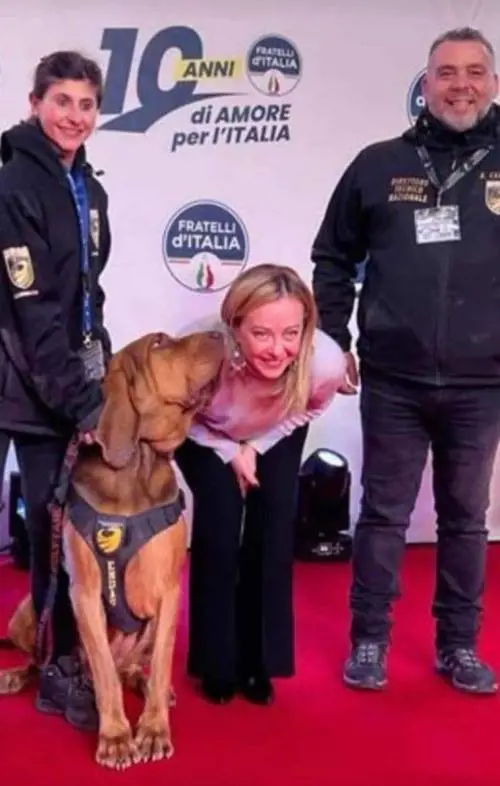 Profilo Facebook di Arcangelo Caressa