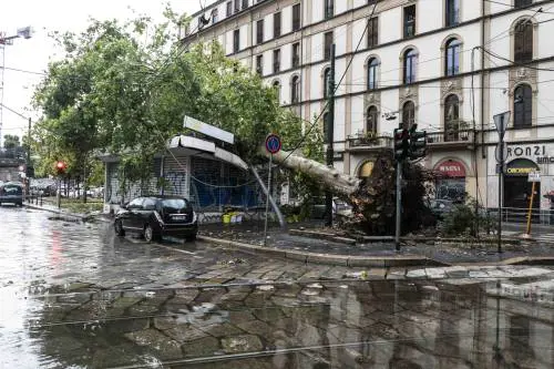Bomba d'acqua su Milano. Donna uccisa da un albero