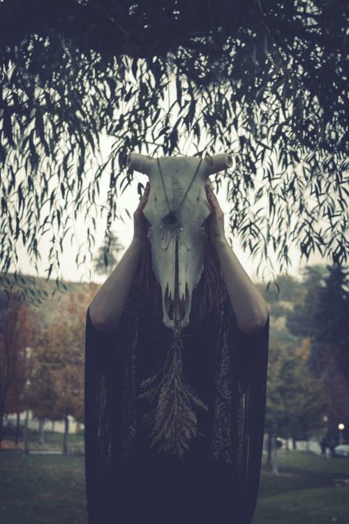 https://img.ilgcdn.com/sites/default/files/styles/md/public/foto/2025/07/09/1752074187-sandra-seitamaa-9iejhv6ujjk-unsplash.jpg?_=1752074187