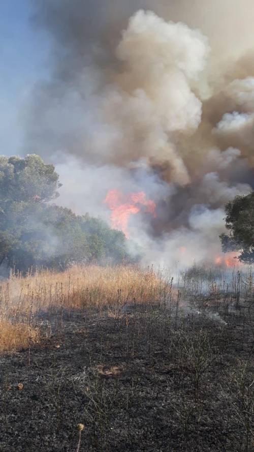 Violento incendio vicino dell'aeroporto di Olbia: ritardi e voli dirottati, cosa è successo