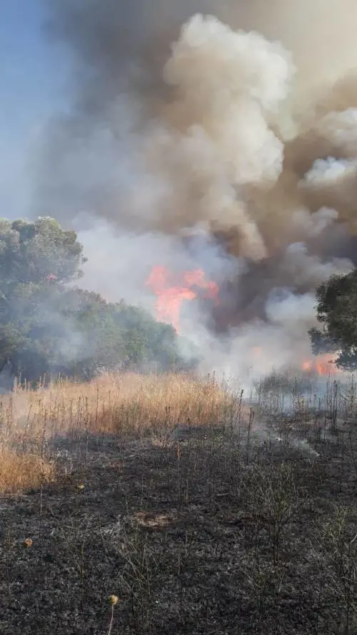 Violento incendio vicino dell'aeroporto di Olbia: ritardi e voli dirottati, cosa è successo