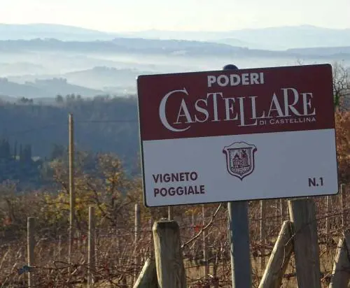 Torre Alta, il nuovo volto del Chianti Classico