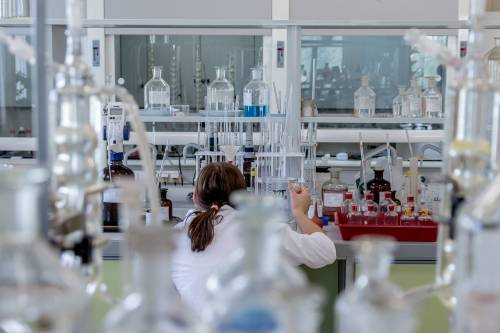 Il batterio "mangiacarne" fa 4 morti. "Occhio a molluschi e ostriche"