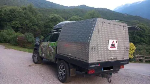 L'orsa JJ4 trasferita in Germania