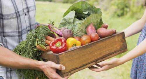 Mercati contadini, l’Italia batte tutti nella spesa a chilometro zero