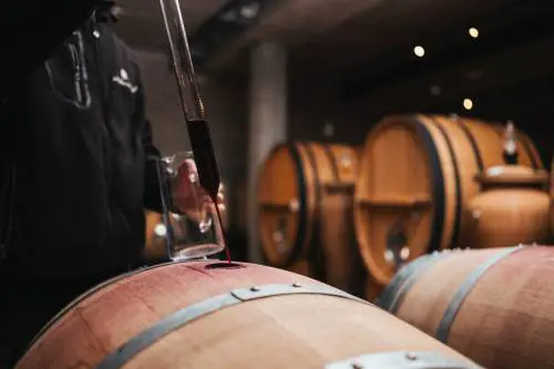 Vacanze in cantina: il nuovo trend nella guida de IlGolosario