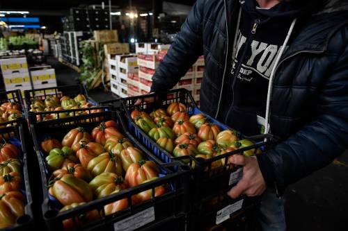 Mercato ortofrutticolo, nuove tariffe. Sogemi: "Passo in avanti"