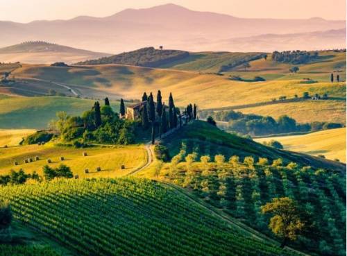Turismo enogastronomico: un business in cerca di professionisti