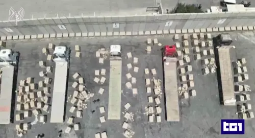 Dal servizio del Tg1 (Rai1)