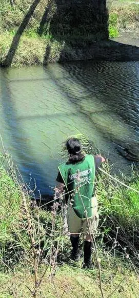 Dopo il leone, il coccodrillo. Il safari di Ladispoli stavolta è una beffa