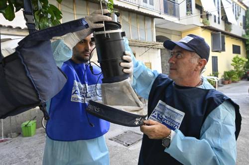 Morti per il virus del Nilo. Le vittime salgono a tre
