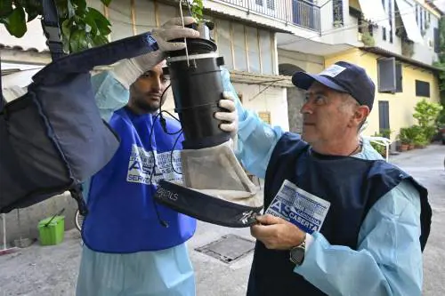 Morti per il virus del Nilo. Le vittime salgono a tre