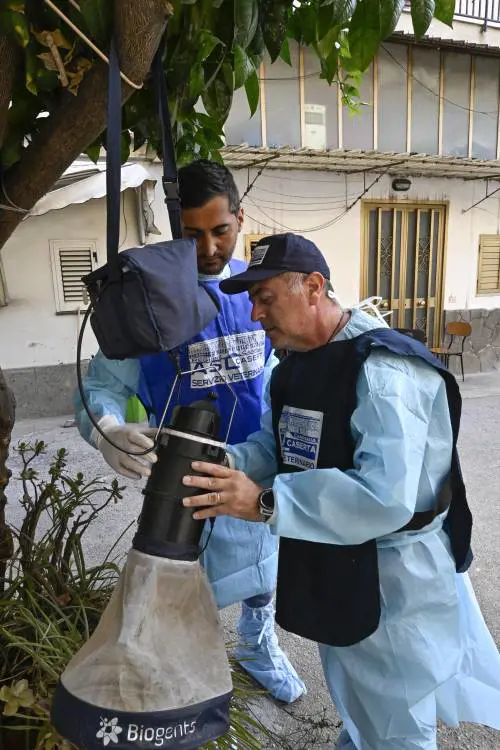 Allarme West Nile in Italia, come si trasmette: dalle zanzare Culex agli uccelli selvatici. Come proteggersi