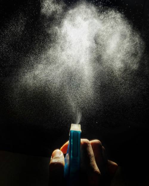Terapia e spray: come difendersi dalle zanzare Culex