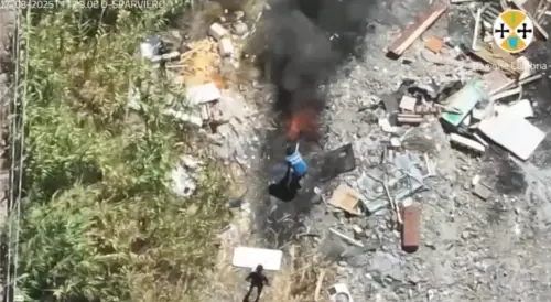 "Hanno scaricato i rifiuti..": così i droni della Regione Calabria fanno arrestare due piromani