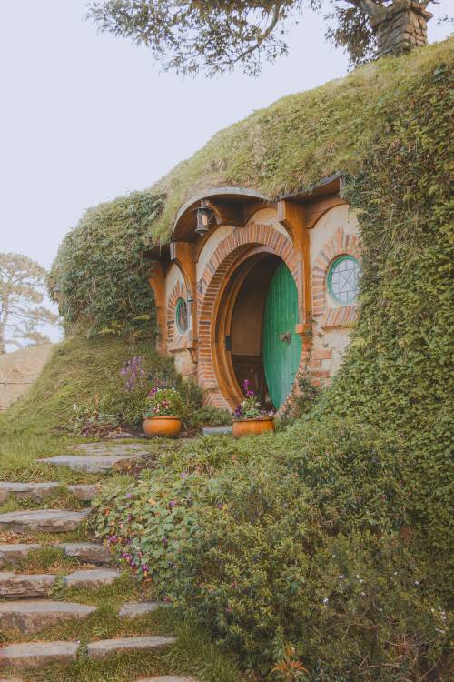 Trovarsi  in libreria un "Hobbit" sperduto