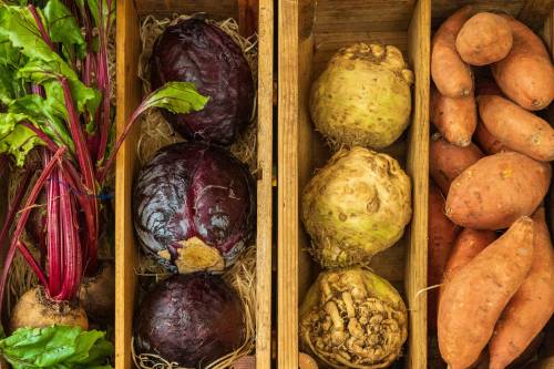 Italia leader in Europa dell'agroalimentare, valore in crescita del 9%