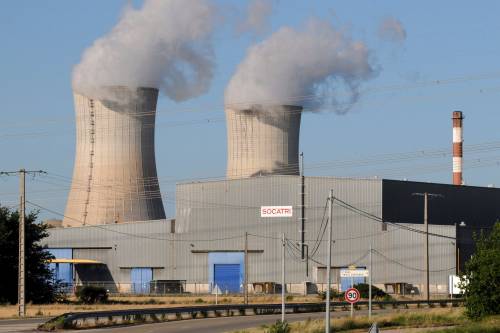 Invasione di meduse, allarme nella mega centrale nucleare francese: cosa è successo