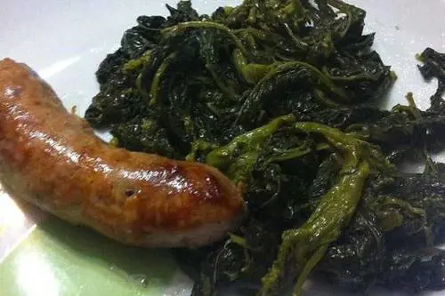 "Sul furgoncino più cibi contaminati"