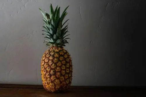 Bromelina: i benefici dell'enzima estratto dal gambo dell'ananas