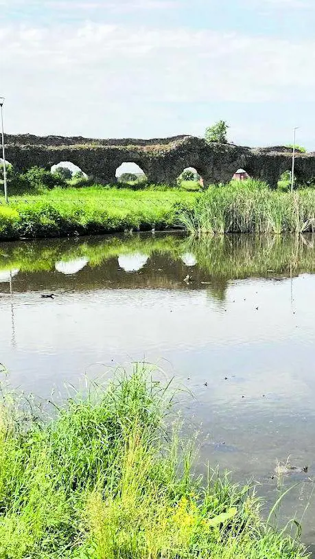 Rapina e stupro: l'incubo nel parco. "Era straniero". È caccia all'uomo