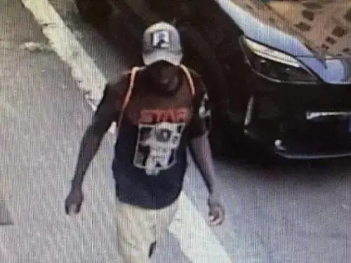 Stupro a Roma, preso l'aggressore gambiano: aveva un permesso umanitario