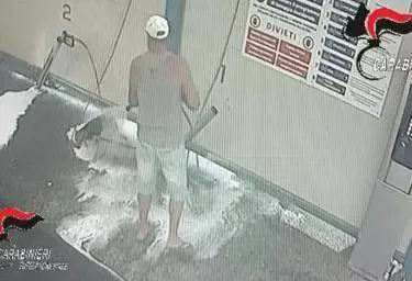 (Foto Fonte Carabinieri)