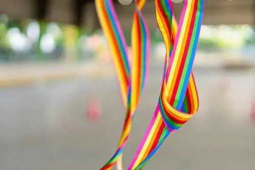 Il fiocco arcobaleno? Stupido e ideologico