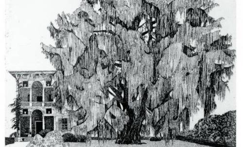 Sono interattivi i teleri di Federica Galli, la "Signora degli alberi"