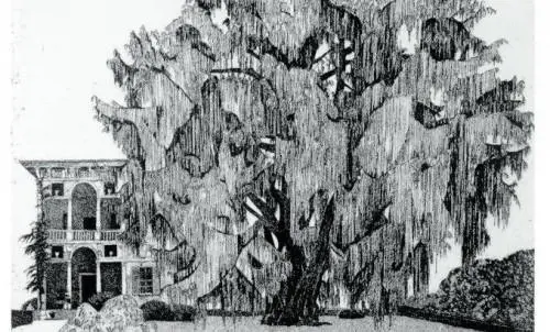 Sono interattivi i teleri di Federica Galli, la "Signora degli alberi"