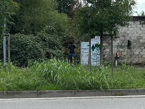 Nuova occupazione a Milano: migranti riprendono l'ex liceo Manzoni