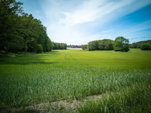 L'ultima follia woke: la campagna è razzista perché ci sono troppi bianchi (e manca cibo halal)