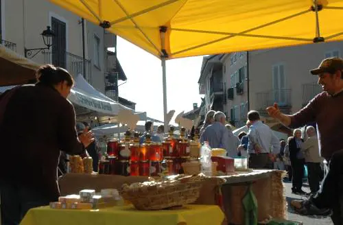 Sommariva del Bosco capitale dei mieli rari