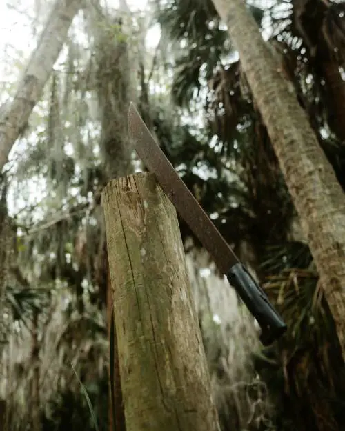 Compagno Machete