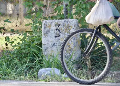 Travolto da auto pirata, muore 13enne