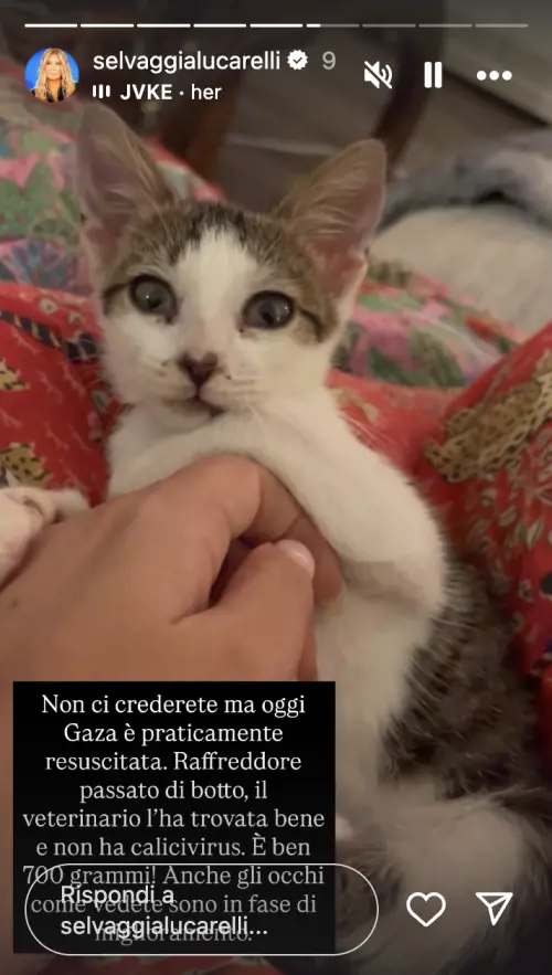 Screen storia Instagram di Selvaggia Lucarelli
