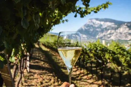 Trentodoc, tre giorni di bollicine di montagna