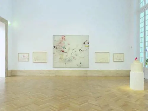 Alla Gnamc di Roma "nasce"  la sala Twombly