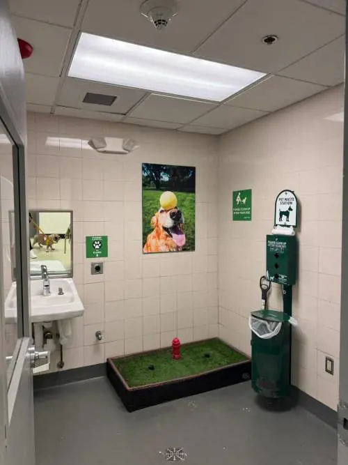 Trasporti, Biancofiore: "Animali in cabina, bene Salvini, Ita e Enac. Misura già presente su treni"