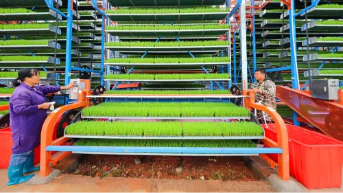 La Cina tutela l'economia rurale celebrando la festa del raccolto degli agricoltori