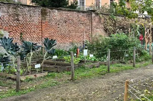 Domenica 28 le fattorie lombarde aprono le porte per accogliere famiglie, scuole e visitatori