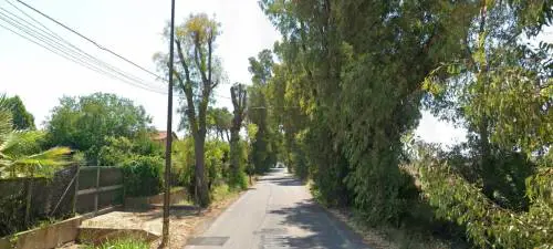 Tragedia a Fiumicino, donna investita mentre attraversa la strada col figlio: morta sul colpo